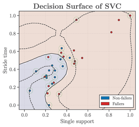 Community-Based and Everyday Life Gait Analysis: Approach to an Automatic Balance Assessment and Fall Risk Prediction in the Elderly